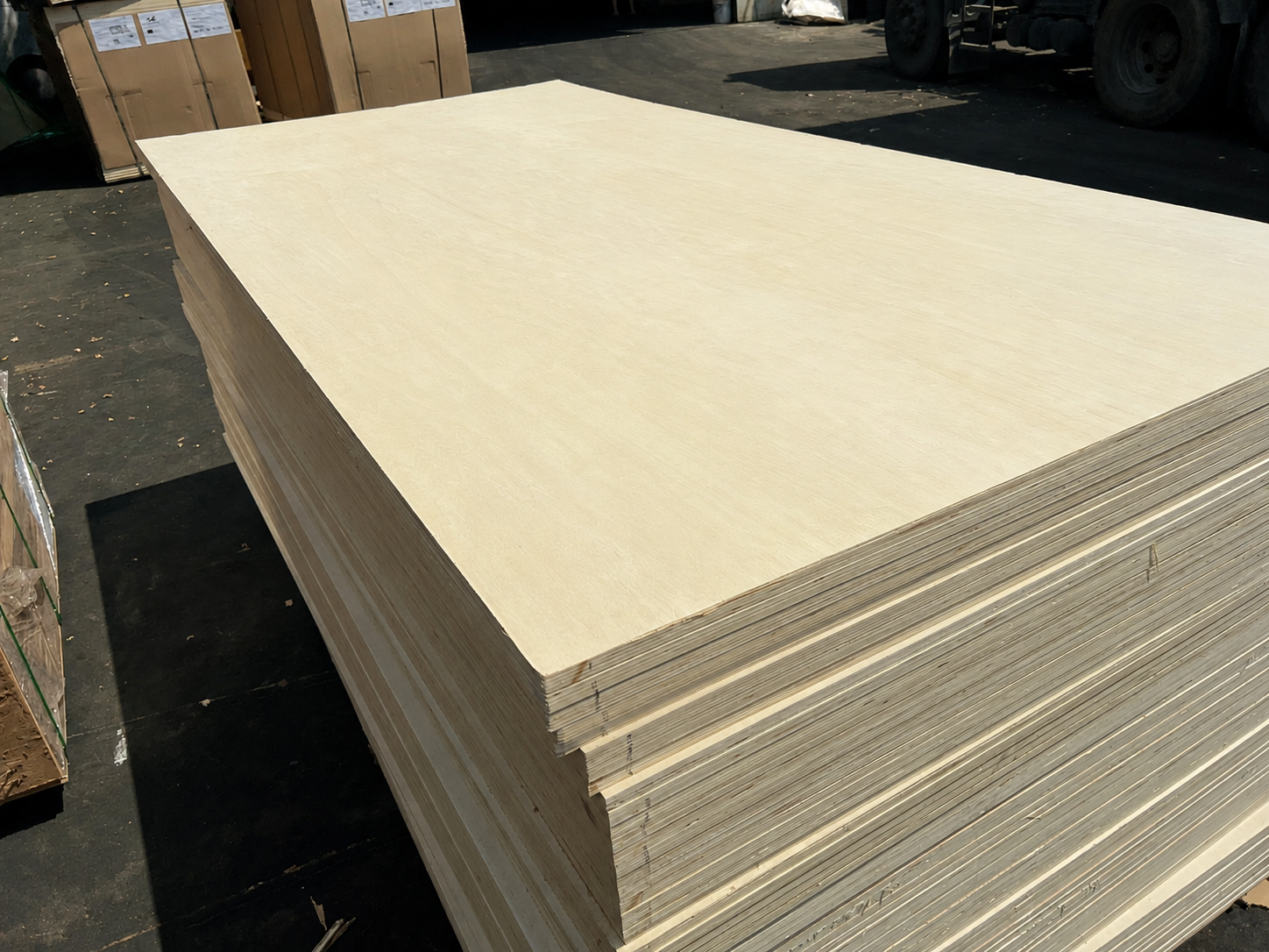Ván ép poplar (bạch dương) 1